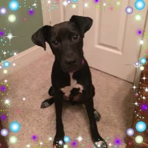 Meet your Posher, Melonie